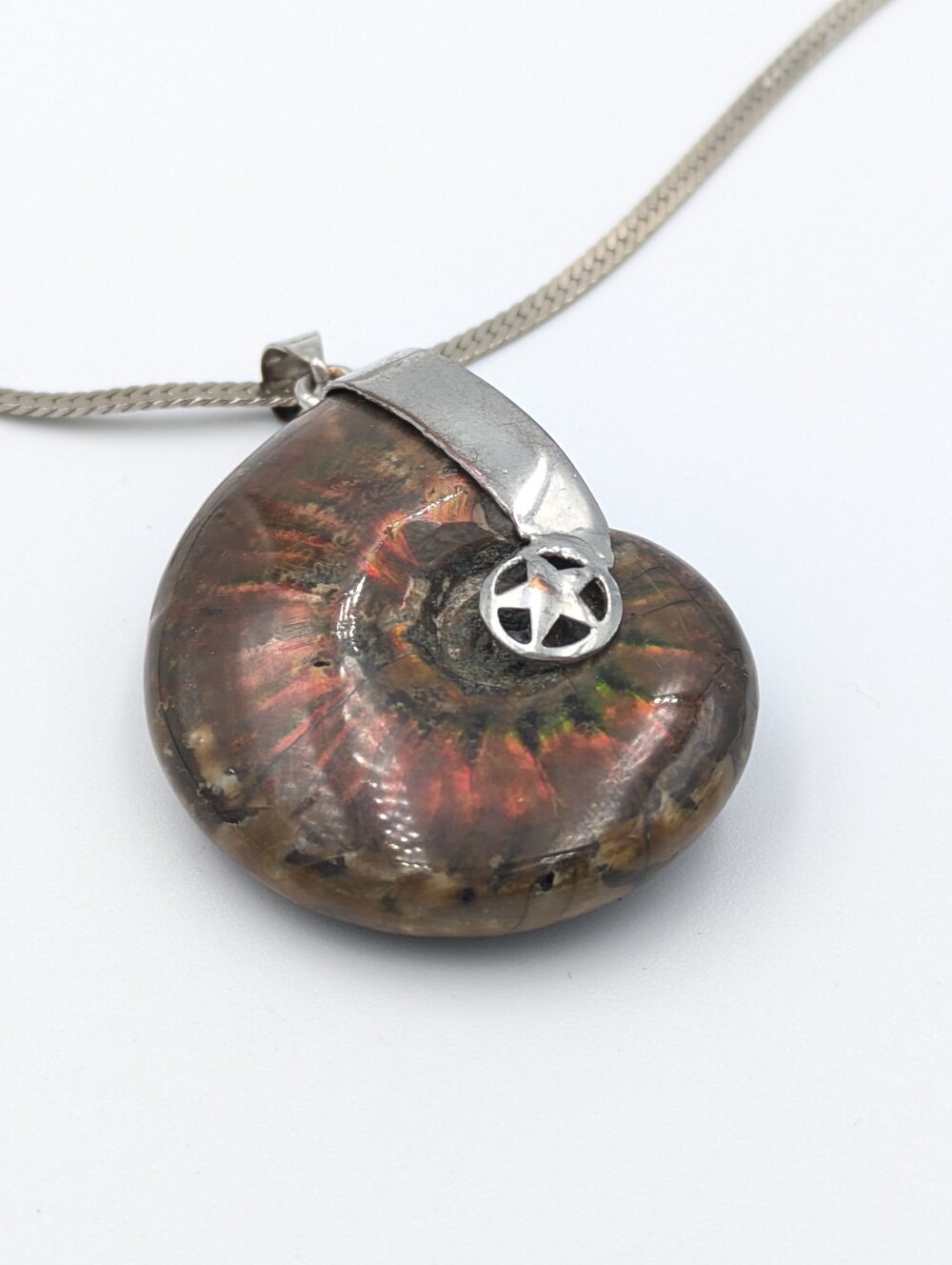 Iridescent Fossilized Ammonite Pendant Gem Jurassic Cretaceous 200 Million BC